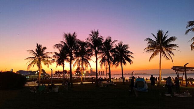 海口湾椰树夕阳剪影