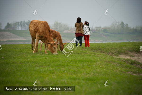 母子