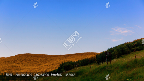 塞北林场