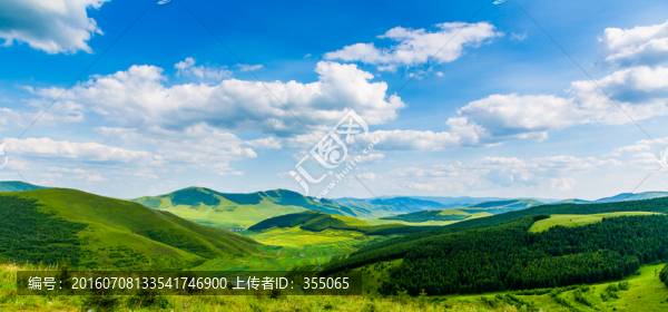 塞北林场