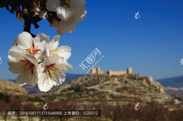 杏仁花和西班牙城堡背景
