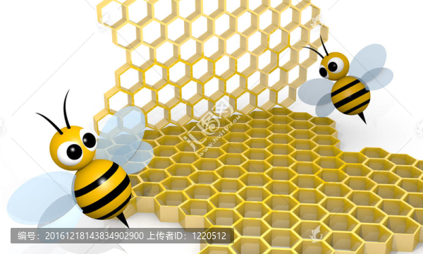 蜜蜂和蜂窝