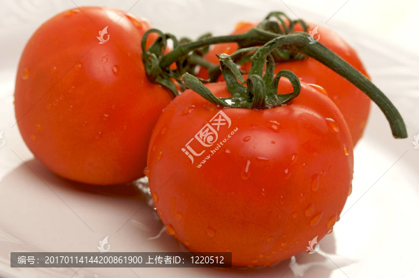 白色盘子上的新鲜红蕃茄
