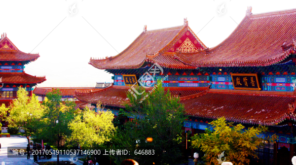 正觉寺,佛教,建筑,敦化,公园