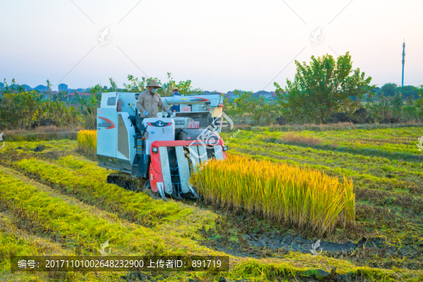 水稻收割机,久保田