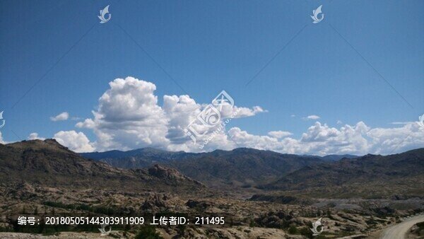 阿尔泰山后山夏牧场