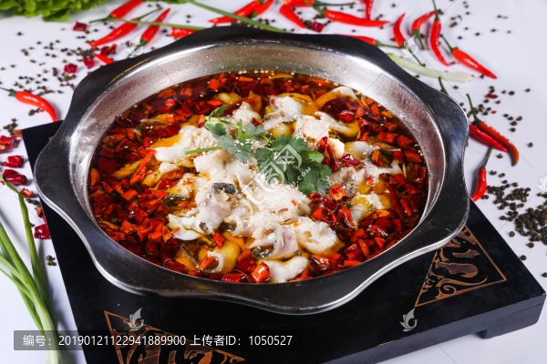 沸腾鱼