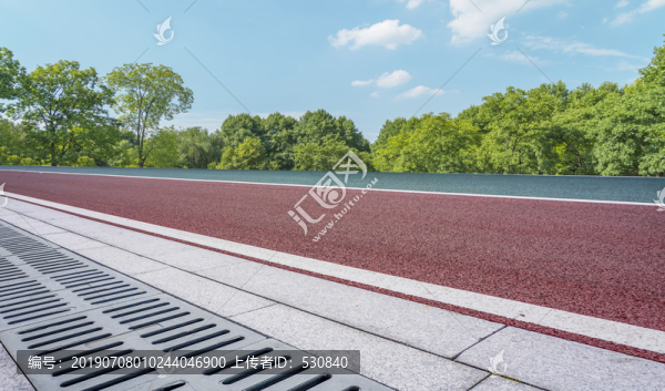 户外公路和绿树林