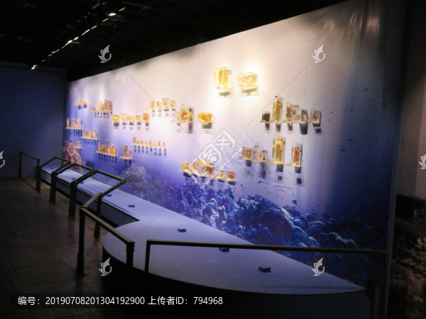 自然博物馆展陈