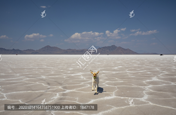 盐湖