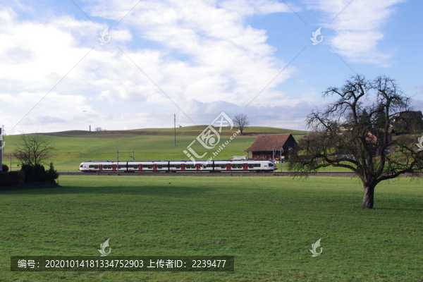 瑞士田园小景