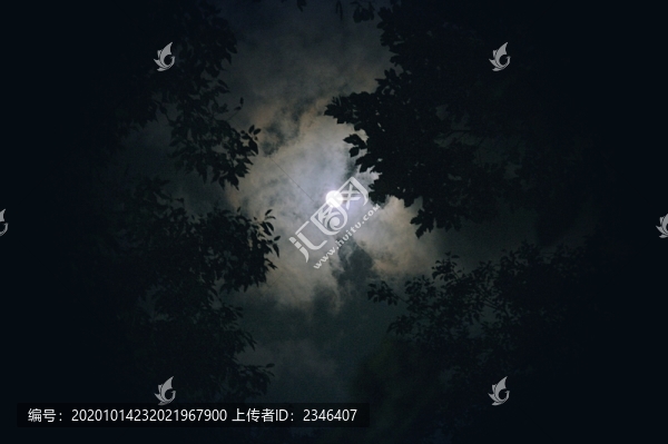上海城市夜景智能城市素材