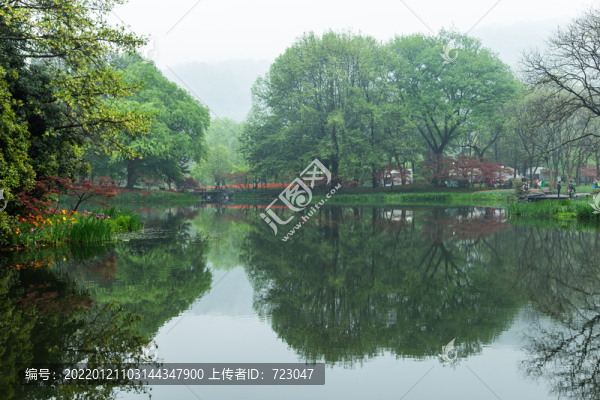 杭州太子湾春色