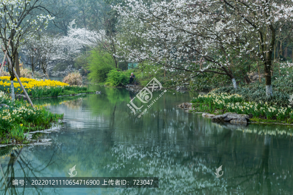 杭州太子湾公园春色