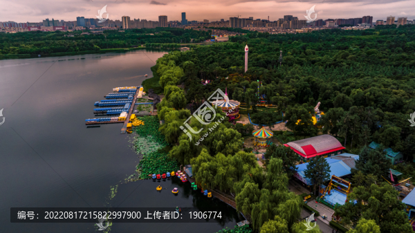 夏日里的中国长春南湖公园风景