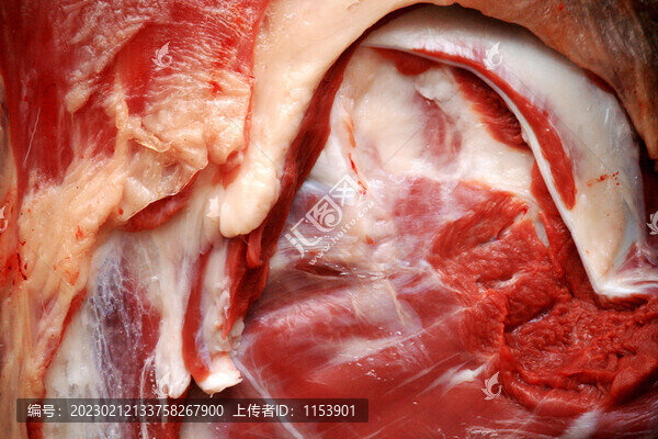 羊肉