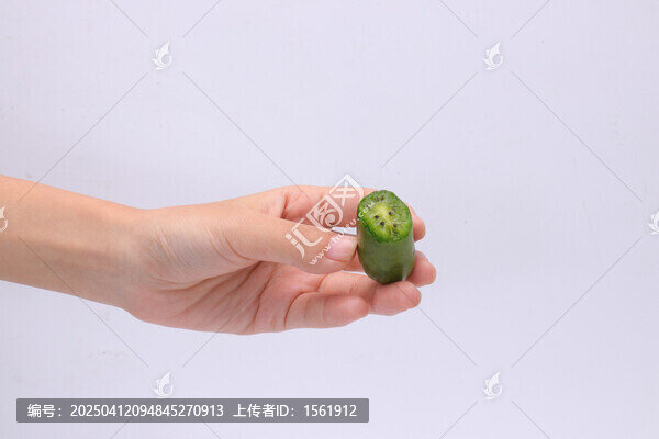 软枣猕猴桃