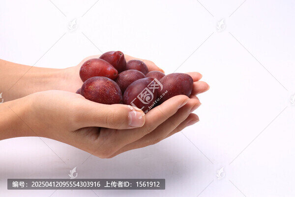 美味水果西梅