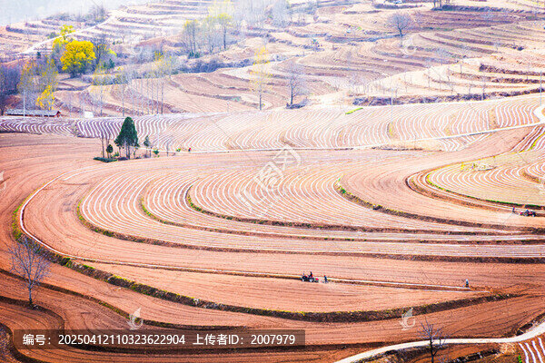 垄间绘锦