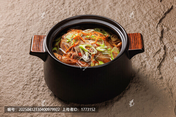太湖船鸭