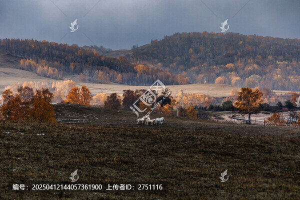 塞罕坝