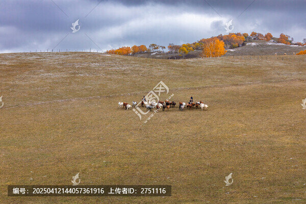 塞罕坝
