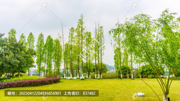 春光明媚