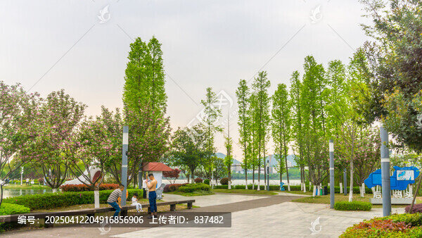 春光明媚