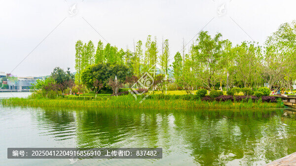 春色满园