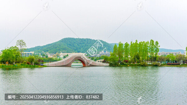 春色满园