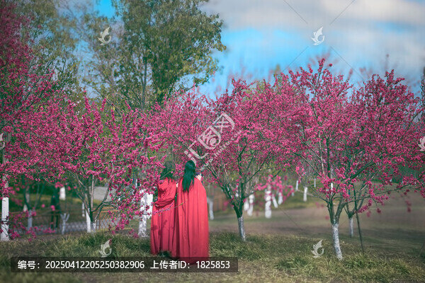 杭州桃花胡公园